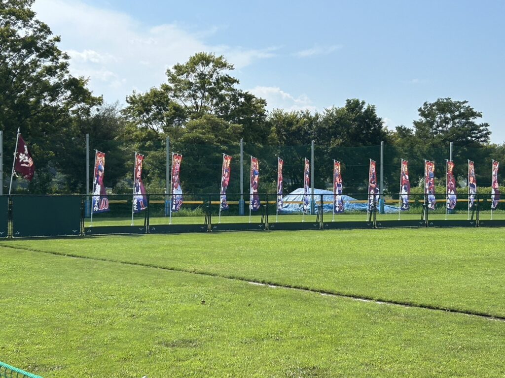 全日本小学生男子ソフトボール大会